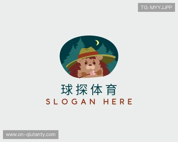 关于球探体育